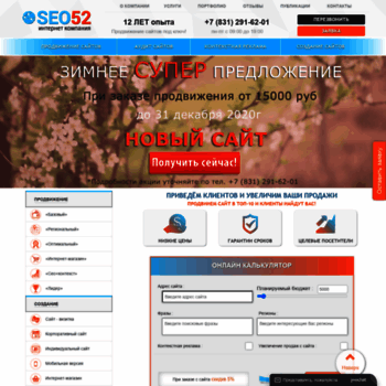 Веб сайт seo52nn.ru